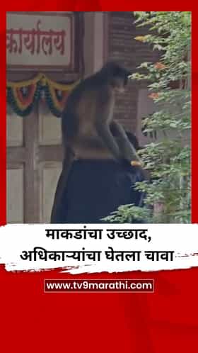 माकडांचा उच्छाद, अधिकाऱ्यांचा घेतला चावा