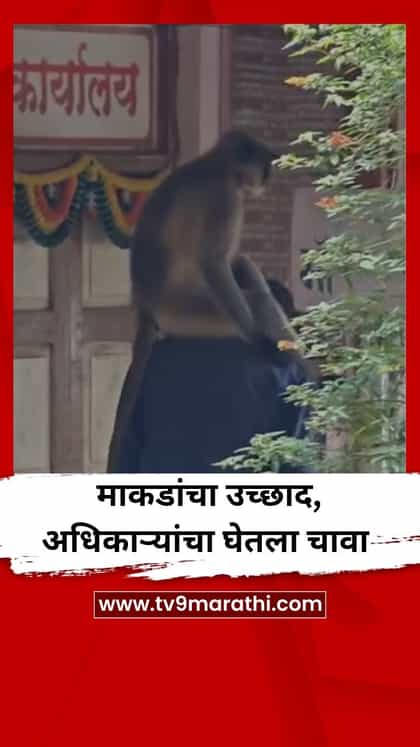 माकडांचा उच्छाद, अधिकाऱ्यांचा घेतला चावा-1753625
