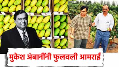 मुकेश अंबानी हे पण शेतकरी? किती एकर शेतीचे मालक, कोणते घेतले पीक?.