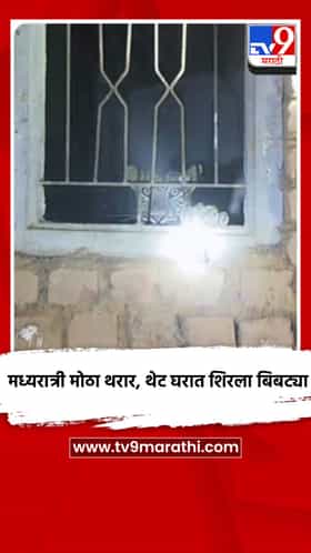 मध्यरात्री मोठा थरार, थेट घरात शिरला बिबट्या