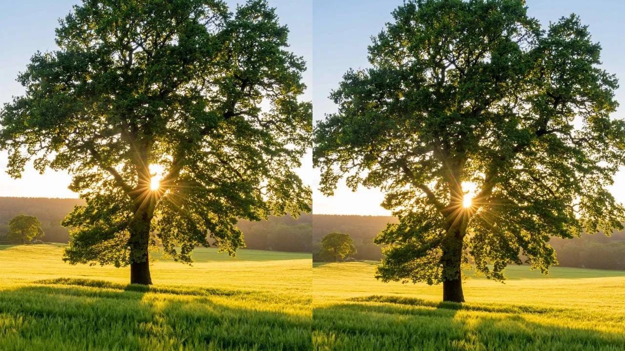 त्याचबरोबर पर्जन्यमानात समस्या निर्माण होईल. कालांतराने यामुळे पृथ्वीचा मोठा भाग कोरडा आणि ओसाड होण्याची शक्यता आहे. त्यामुळे ज्यांच्याकडे या सर्व गोष्टींवर मात करण्याची क्षमता किंवा तंत्रज्ञान असेल तेच या पृथ्वीवर जास्तीत जास्त काळ जिवंत राहू शकतात. कृत्रीम परिसंस्था मानवी जीवनाला कदाचित बचावू शकते.
