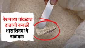 रेशनच्या तांदळात चक्क दातांची कवळी; धाराशीवच्या रेशन दुकानात धक्कादायक प्रकार, नेमकं काय घडलं?
