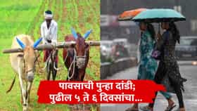 Rain Update : पावसाची दडीच पण आता तापमानही वाढणार, शेतकऱ्यांचं टेन्शन कोणी वाढवलं? पीके वाचवण्यासाठी आता...
