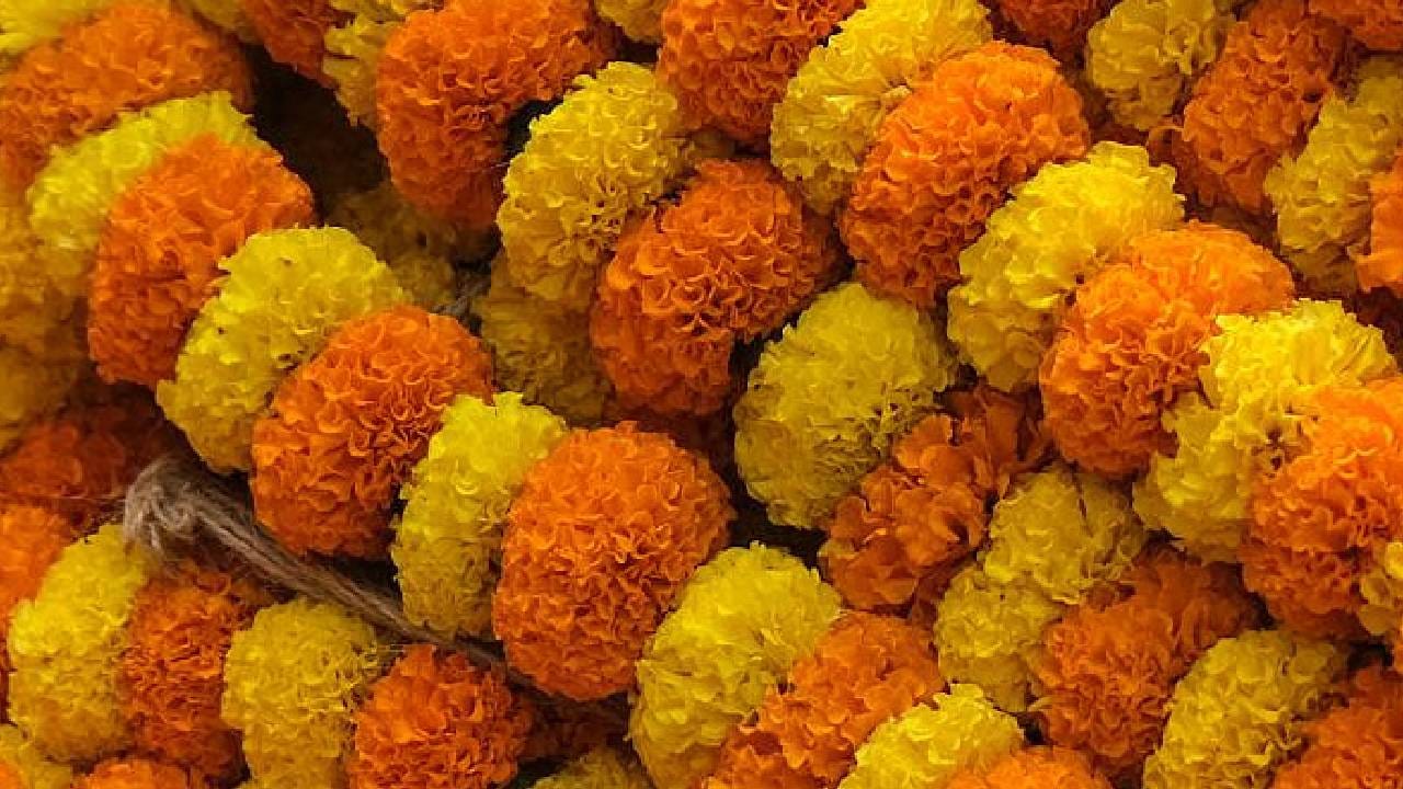 सातवी माळ: झेंडूच्या फुलांची माळ