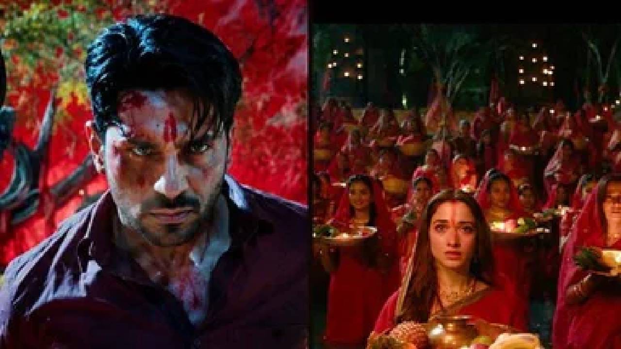 चित्रपटाने पहिल्या दिवशी जवळपास 8 कोटी रुपयांची कमाई केली होती. यानंतर शनिवारी चित्रपटाने 11.25 कोटी रुपयांचा व्यवसाय केला. तर रविवारी ‘द वन’ने तब्बल 14.35 कोटी रुपयांची कमाई केली.
