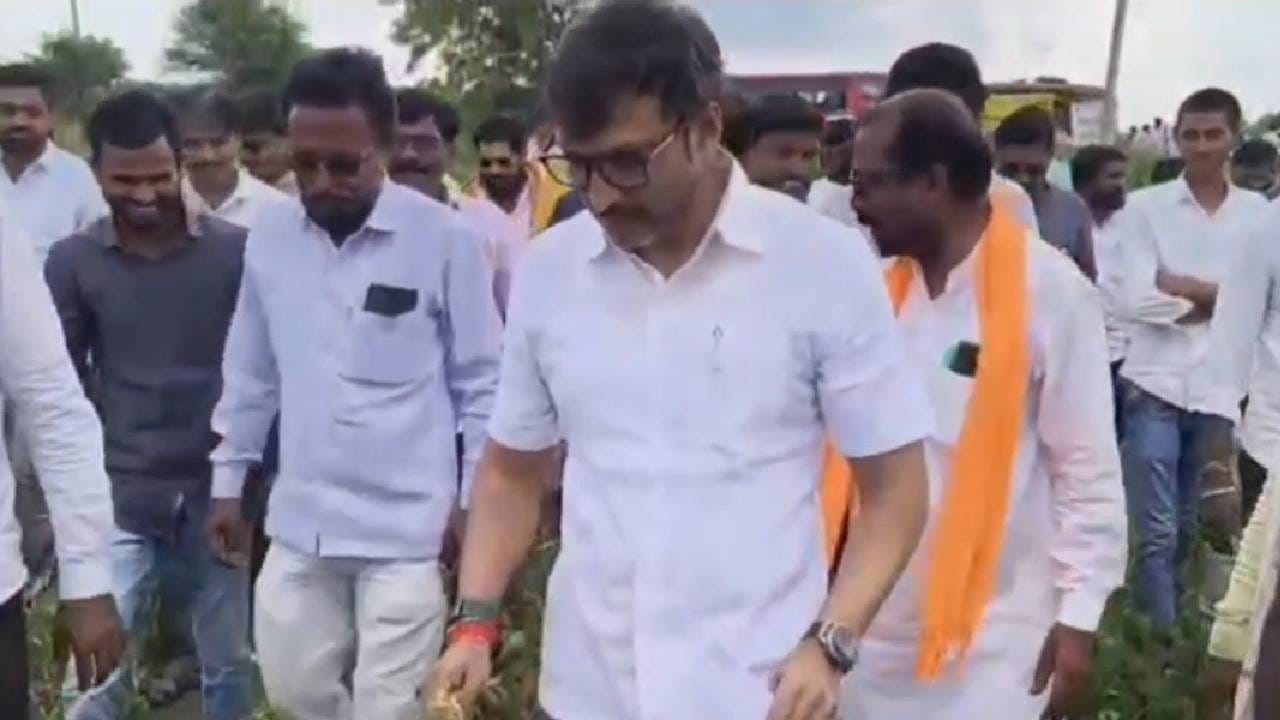 कळंब तालुक्यात पावसाअभावी सोयाबीन पिकांचं मोठं नुकसान झालं आहे. करपत चाललेल्या सोयाबीन पिकांमुळे शेतकऱ्यांचे टेन्शन प्रचंड वाढले आहे. अशा परिस्थितीत काय करावे आणि काय करु नये असा प्रश्न शेतकऱ्यांना पडला आहे.