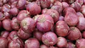 Onion Price Hike | शेतकऱ्यांसाठी गुड न्यूज! कांद्याला मिळतोय विक्रमी भाव; पिंपळगावात 6600, तर लासलगावात दर किती?