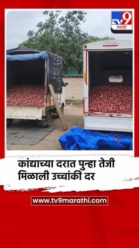 कांद्याच्या दरात पुन्हा तेजी; पिंपळगावात आणि लासलगावात उच्चांकी दर