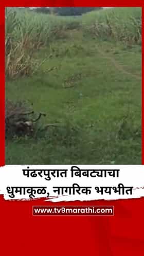 म