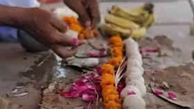 Pitru Paksha 2026 : पितृपक्षात अचानक दिसले हे ५ संकेत? समजा पूर्वजांची आहे कृपादृष्टी, बदलणार नशिबाची दिशा!