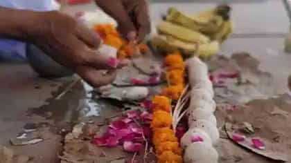 पितृपक्षात अचानक दिसले हे ५ संकेत? समजा पूर्वजांची आहे कृपादृष्टी.
