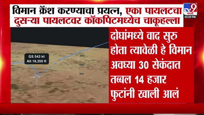 धक्कादायक! विमानात वैमानिकांचा वाद, थेट हल्ला नंतर विमान क्रॅश....