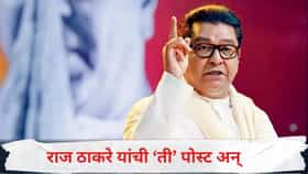 कावळ्याच्या शापाने गाय मरत नसते.. राज ठाकरेंची पोस्ट, नेमका कोणावर..