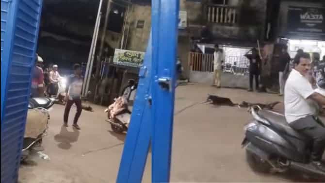 कुत्र्यांना दुचाकीला बांधून फरफटत नेले, धक्कादायक घटना, थेट तरुणावर गुन्हा दाखल..