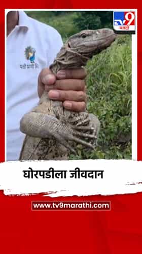 पाण्याच्या टाकीत पडलेल्या घोरपडीचे रेस्क्यू ऑपरेशन