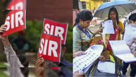 धक्कादायक... SIRच्या प्रारुप मतदार यादीतून मुंबईतील 36 लाख नावे वगळली; बड्या नेत्याच्या दाव्याने खळबळ