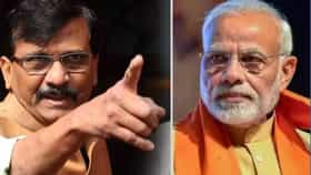 Sanjay Raut: तुम्ही पिशवी घेऊन या, आपण बाजारात जाऊ, महागाईवरून संजय राऊत यांनी पंतप्रधान मोदींना घेरलं, म्हणाले काय?