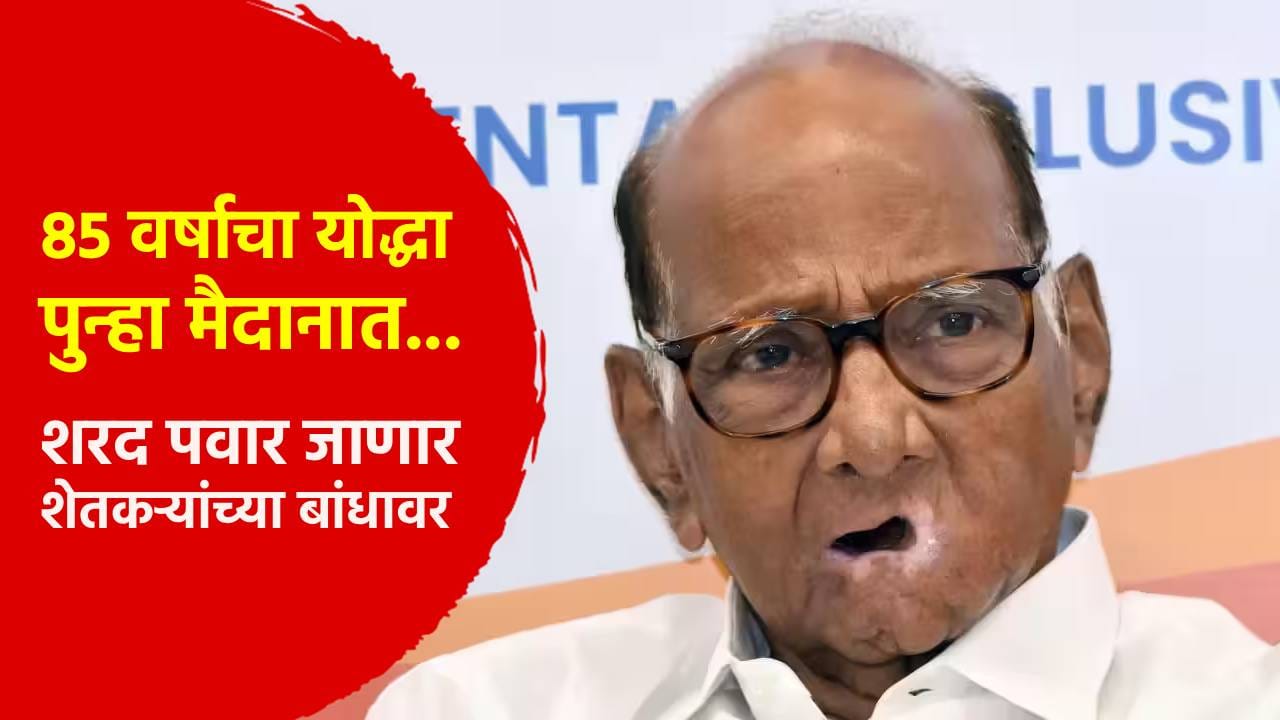 85 वर्षाचा योद्धा पुन्हा मैदानात... शरद पवार जाणार शेतकऱ्यांच्या बांधावर; 28 सप्टेंबर... 85 वर्षाचा योद्धा पुन्हा मैदानात... शरद पवार जाणार शेतकऱ्यांच्या बांधावर; 28 सप्टेंबर...