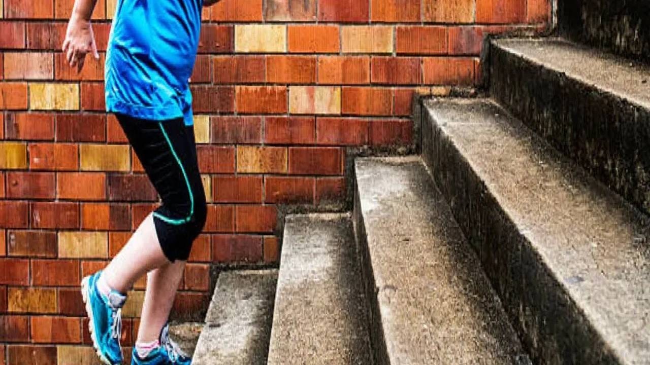 Shortness of breath : पायऱ्या चढताच लागतोय दम, फिटनेसची कमी की अजून काही ? हे कशाचे संकेत Shortness of breath : पायऱ्या चढताच लागतोय दम, फिटनेसची कमी की अजून काही ? हे कशाचे संकेत