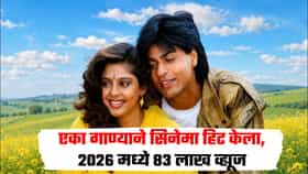 त्या गाण्यामुळे चित्रपट झाला हिट, शाहरुख नगमाचं ते गाणं 33 वर्षांनंतरही सुपरहिट, 2026मध्ये मिळाले 83 लाख व्ह्यूज