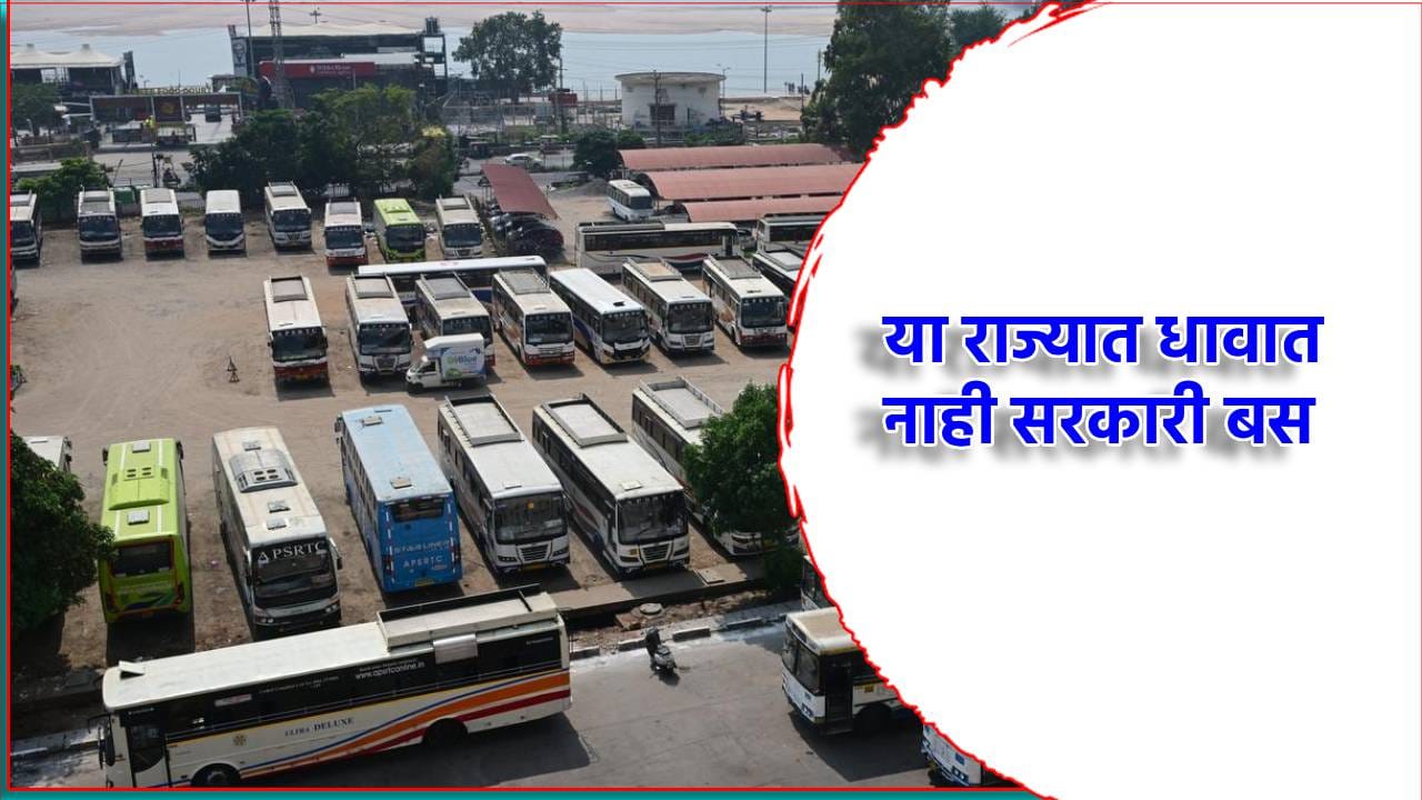 भारतातील एकमेव राज्य, जिथे धावत नाहीत सरकारी बस, काय आहे कारण? भारतातील एकमेव राज्य, जिथे धावत नाहीत सरकारी बस, काय आहे कारण?