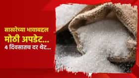 साखरेच्या भावाबद्दल मोठी अपडेट... 4 दिवसातच दर थेट... ऑगस्टच्या तुलनेत साखर कितीला?