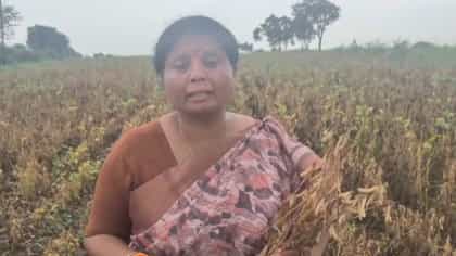 शेतकरी उपाशी अन् नेत्याचा काजू बदामावर ताव, अंधारे आक्रमक, म्हणाल्या...