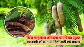 चिंच पाहताच तोंडाला पाणी का सुटतं, 99 टक्के लोकांना माहिती नाही खरं कारण