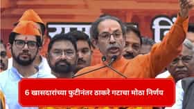 6 खासदारांच्या फुटीनंतर ठाकरे गटाचा मोठा निर्णय, 40 लोकसभा मतदार संघात..