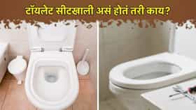 टॉयलेट सीटखाली असं होतं तरी काय, यायचे भयानक आवाज, पॉट तोडल्यानंतर थरथर कापू लागलं कुटुंब