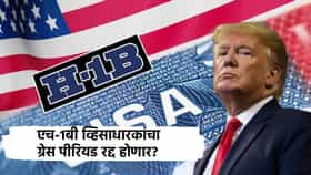 ट्रम्प यांचा मोठा दणका, H-1B व्हिसाधारकांचा ग्रेस पीरियड रद्द होणार? भारतीय कर्मचाऱ्यांवर टांगती तलवार