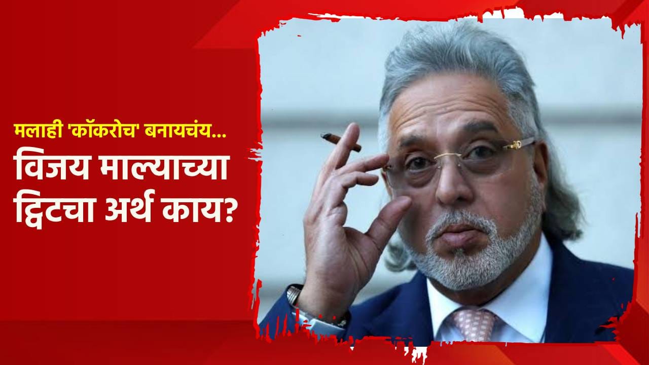 मलाही 'कॉकरोच' बनायचंय... विजय माल्याच्या ट्विटने खळबळ; मोठं कारण आलं समोर मलाही 'कॉकरोच' बनायचंय... विजय माल्याच्या ट्विटने खळबळ; मोठं कारण आलं समोर