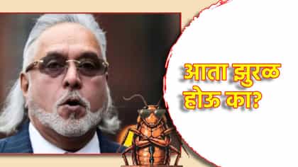 आता झुरळ होऊ का? विजय माल्या यांना का व्हायचंय कॉक्रोच?.