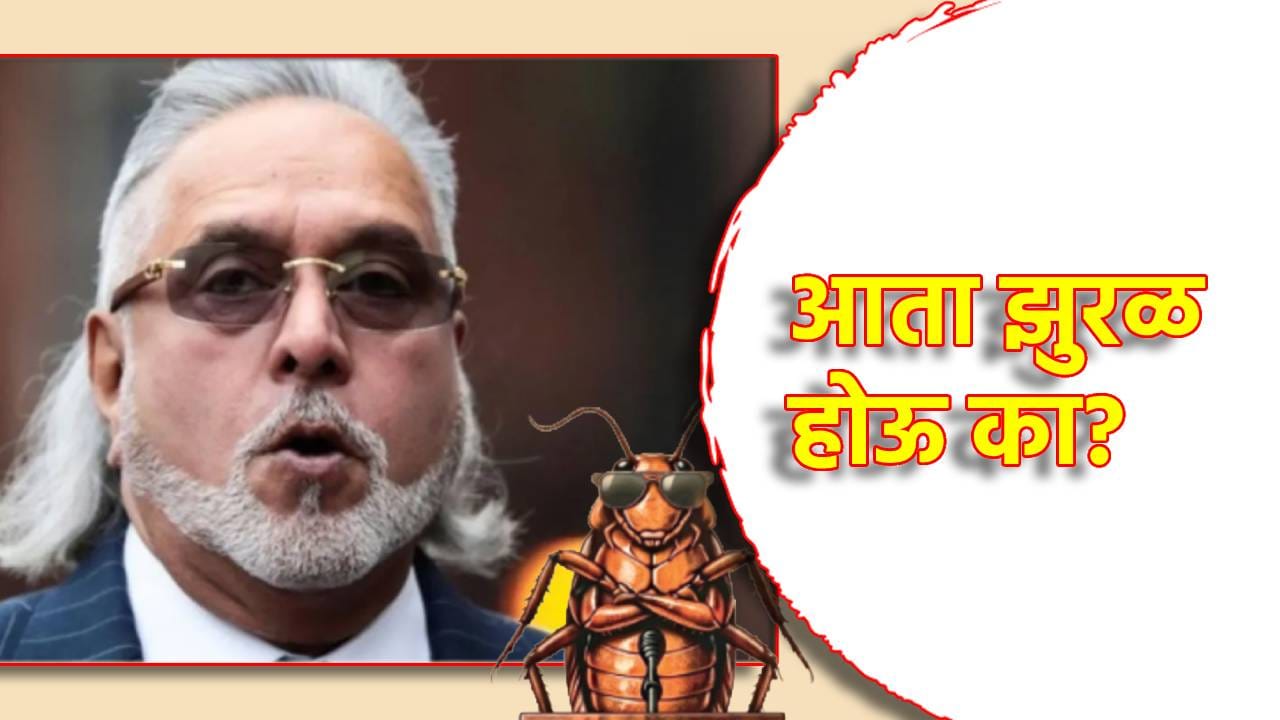 Vijay Mallya: आता झुरळ होऊ का? विजय माल्या यांना का व्हायचंय कॉक्रोच? पळपुटा म्हटल्यानं का झोंबल्या मिरच्या? Vijay Mallya: आता झुरळ होऊ का? विजय माल्या यांना का व्हायचंय कॉक्रोच? पळपुटा म्हटल्यानं का झोंबल्या मिरच्या?