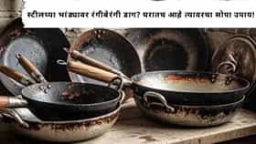 Kitchen Tips : स्टीलच्या भांड्यावर निळे, जांभळे डाग का पडलेत ? स्वयंपाक करण्याआधी जाणून घ्या या गोष्टी