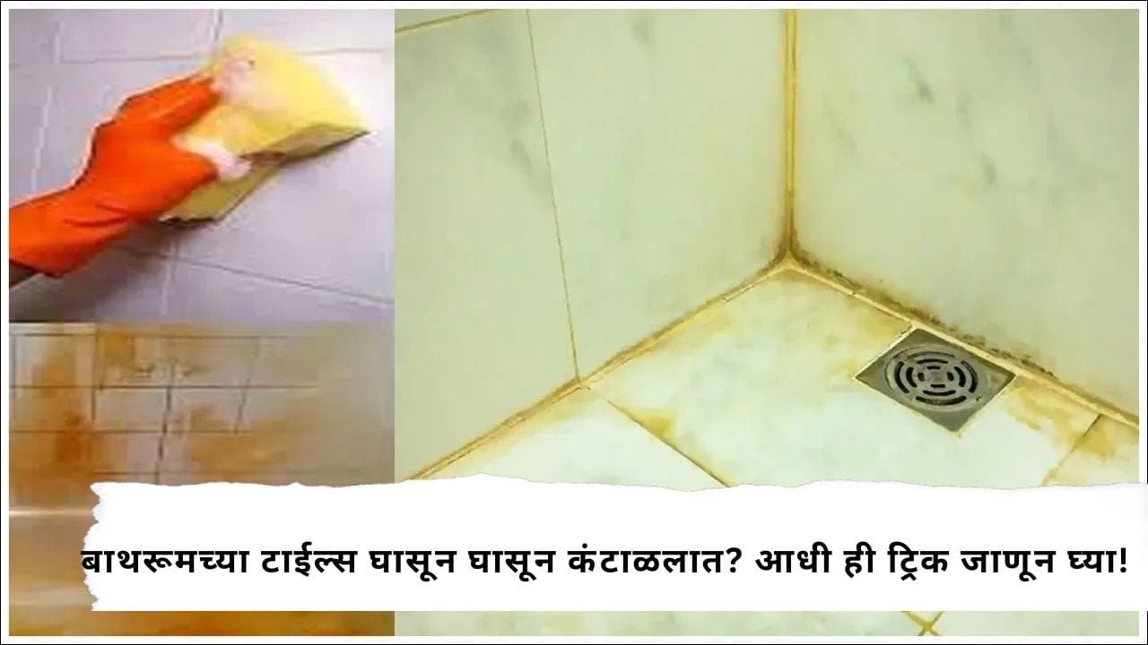 Cleaning Tips : बाथरूमच्या टाईल्सवरचे हट्टी पिवळे डाग काढण्यासाठी काय करावे? जाणून घ्या सोपे क्लिनिंग हॅक्स Cleaning Tips : बाथरूमच्या टाईल्सवरचे हट्टी पिवळे डाग काढण्यासाठी काय करावे? जाणून घ्या सोपे क्लिनिंग हॅक्स
