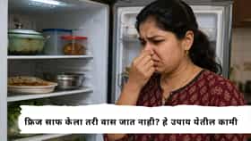 Kitchen Cleaning Tips :  फ्रिज उघडताच दुर्गंधी येतेय? शेल्फपासून रबर सीलपर्यंत अशी करा स्वच्छता