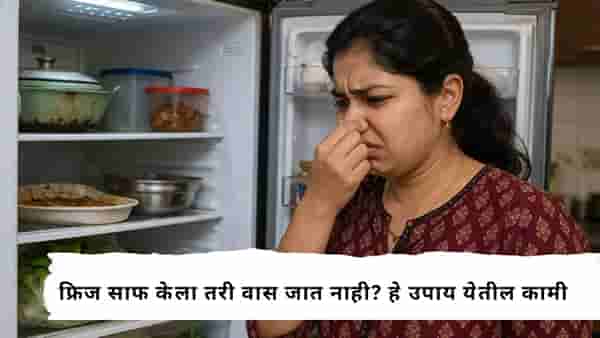 Kitchen Cleaning Tips : फ्रिज उघडताच दुर्गंधी येतेय? शेल्फपासून रबर सीलपर्यंत अशी करा स्वच्छता