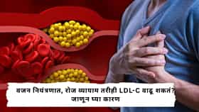 Bad Cholesterol : दिसायला फिट असूनही LDL-C वाढू शकतं; जाणून घ्या कोलेस्ट्रॉलबाबत ही महत्त्वाची गोष्ट, असे करा चेक