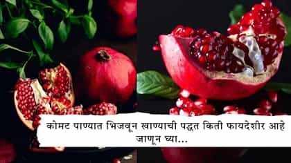 कोमट पाण्यात भिजवून खाण्याची पद्धत किती फायदेशीर आहे जाणून घ्या.