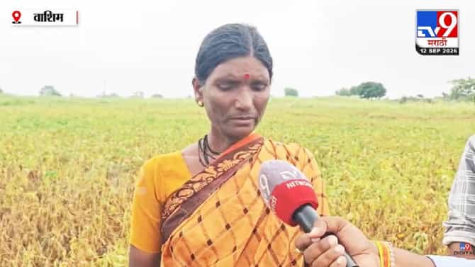 Washim | वाशिममध्ये पावसाने शेतकऱ्यांचं कंबरडं मोडलं! सोयाबीन-तूर-कापूस पिकं उद्ध्वस्त, महिला शेतकरी व्यथा मांडताना ढसाढसा रडली