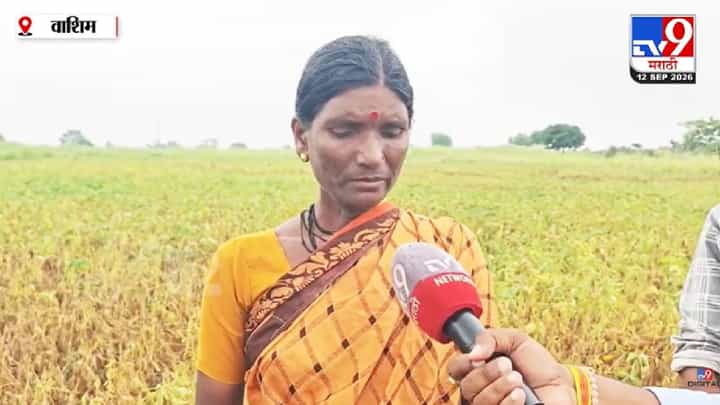 Washim | वाशिममध्ये पावसाने शेतकऱ्यांचं कंबरडं मोडलं! सोयाबीन-तूर-कापूस पिकं उद्ध्वस्त, महिला शेतकरी व्यथा मांडताना ढसाढसा रडली Washim | वाशिममध्ये पावसाने शेतकऱ्यांचं कंबरडं मोडलं! सोयाबीन-तूर-कापूस पिकं उद्ध्वस्त, महिला शेतकरी व्यथा मांडताना ढसाढसा रडली