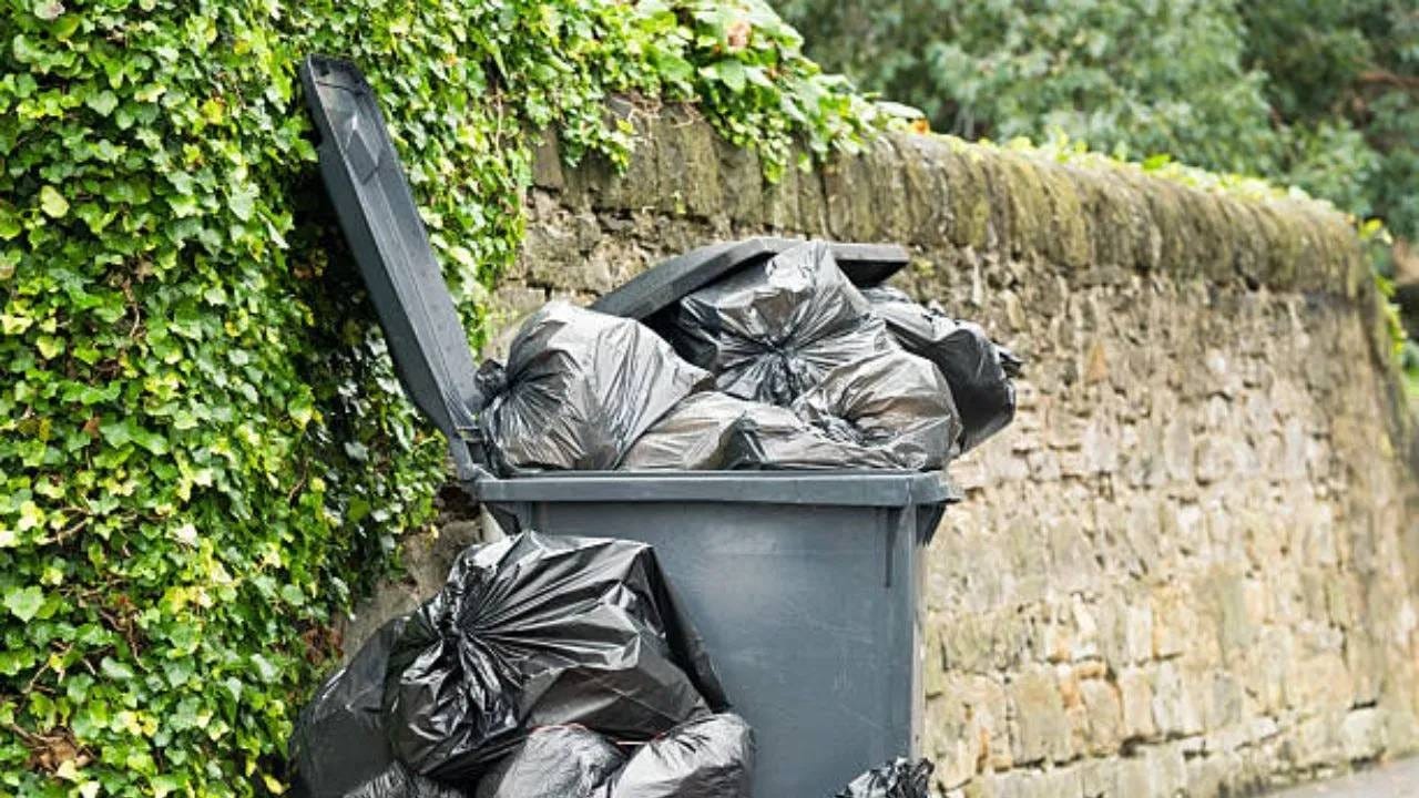 हिरव्या डस्टबिनचा वापर सामान्यतः ओल्या आणि सेंद्रिय कचऱ्यासाठी केला जातो. म्हणजेच असा कचरा, ज्याचं सहजपणे विघटन होऊ शकतं आणि त्यापासून खत तयार करता येतं. या डब्यात तुम्ही भाज्या आणि फळांची सालं, उरलेलं अन्न, खराब झालेलं किंवा कुजलेल्या फळं-भाज्या, भाज्यांची पानं इत्यादी टाकू शकता. यामुळे या कचऱ्यापासून सहजपणे कंपोस्ट किंवा खत तयार करता येते.