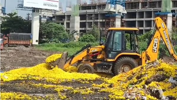 दादरनंतर फुल विक्रीसाठी प्रसिद्ध असलेल्या कल्याणच्या APMC फुल मार्केटमध्ये महाराष्ट्रातील विविध जिल्ह्यांतून मोठ्या प्रमाणात फुले विक्रीसाठी आणली जातात. यंदाही गणेशोत्सवाच्या तोंडावर चांगला भाव मिळेल, या अपेक्षेने महाराष्ट्राच्या अनेक जिल्ह्यांतून शेतकरी झेंडूची फुले घेऊन कल्याण APMC मार्केटमध्ये दाखल झाले आहे