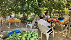 44 एकर जमिनीची मालकीण आहे ही बॉलिवूड अभिनेत्री; शेतकऱ्यांना मोफत दिली जमीन, कोण आहे ती?