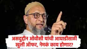 UP Election 2027 : सोबत या युती करू, ओवैसी यांची काँग्रेस, सपाला खुली ऑफर; उत्तर प्रदेशात घडामोडी वाढल्या, भाजपाचं टेन्शन वाढणार?