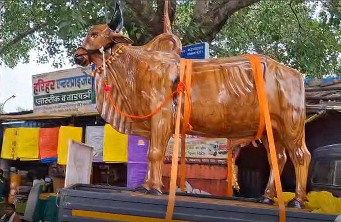 सागवानाच्या लाकडापासून तयार केलेला हा बैल सुमारे आठ फूट उंच आणि आठ फूट लांब असून, त्यावर अत्यंत आकर्षक कोरीवकाम करण्यात आले आहे. या भव्य लाकडी नंदीबैलाची किंमत तब्बल आठ लाख रुपये आहे.हा बैल म्हणजे केवळ आकर्षक कलाकृती नसून, विदर्भाच्या ग्रामीण संस्कृतीचा, शेतकरी जीवनाचा आणि बैलांप्रती असलेल्या कृतज्ञतेचा जिवंत वारसा आहे.