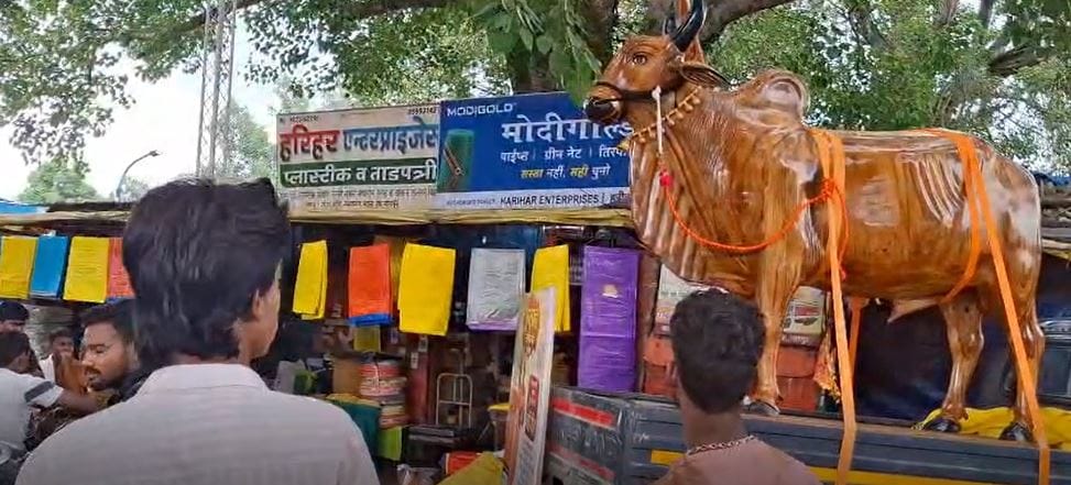 विदर्भाच्या ग्रामीण संस्कृतीची ओळख असलेला तान्हा पोळा हा केवळ उत्सव नसून बैल आणि शेतकरी यांच्यातील अतूट नात्याचे प्रतीक आहे. आजही ही परंपरा मोठ्या उत्साहात जपली जात आहे. यंदा नागपूरच्या लकडगंज बाजारात वर्धा जिल्ह्यातील आष्टी येथील कारागिराने तयार केलेला भव्य नंदीबैल विशेष आकर्षण ठरला आहे.