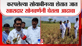 पावसाने पाठ फिरवली, सोयाबीन करपले; बीडमध्ये शेतकरी संकटात