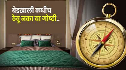 Vastu Tips : बेडखाली या वस्तू नकोच..कमी होऊ शकते घरातली सुख शांती